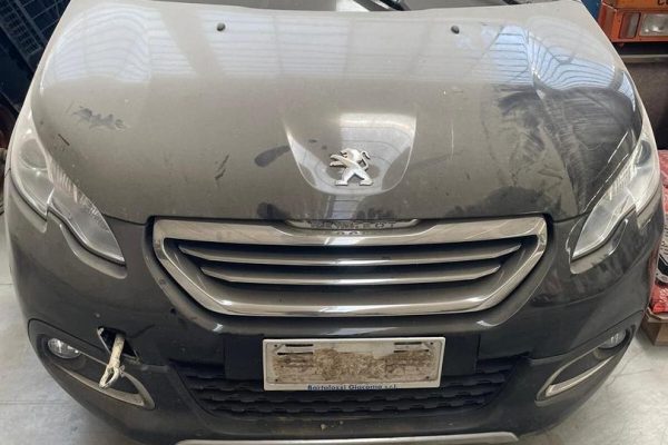 Muso Fari Paraurti Cofano Radiatori Peugeot 2008 1.6 Diesel
